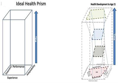 Health Measurement Model—Bringing a Life Course Perspective to Health Measurement: The PRISM Model